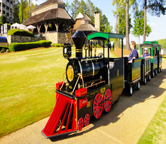 Trackless Train Ride