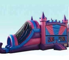 Pink Combo Bounce House